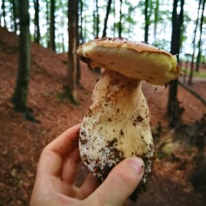 Hiking in Bohemian Paradise & Tour of Kost Castle - Image 6