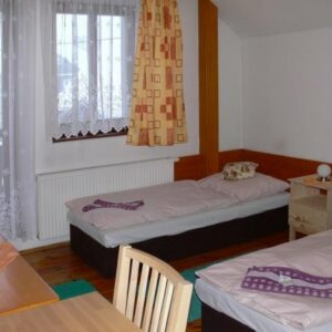 Cross-country and alpine skiing weekend near Harrachov (2 nights) - Image 3