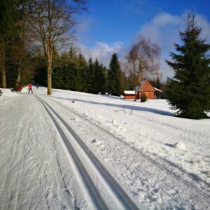 Let's go cross country skiing to a new place! - Image 2