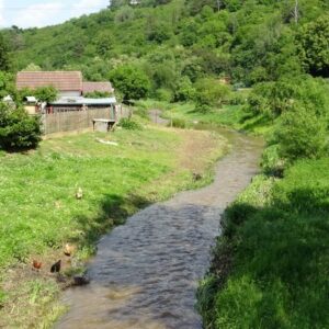 Enjoy relaxing walk along the Rakovnik brook