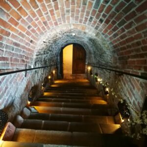 visiting a wine cellar