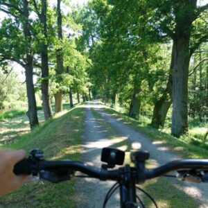 One of many traffic-free cycling trails of Trebonsko