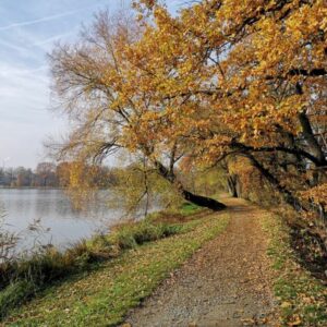 Let's hike to the newest lookout tower in Prague! - Image 2
