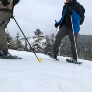 Snowshoeing Weekend in Krkonose - Image 3