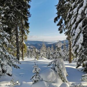 Snowshoeing Weekend in Krkonose - Image 3