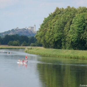 Paddleboarding on the Elbe in eastern Bohemia