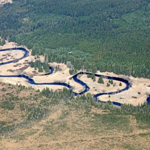 Meanders on Tepla Vltava - We'll canoe here!