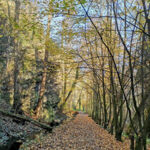 St. Martin's Hike & Wine Tasting in Kutná Hora - Image 2