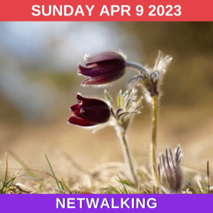 Sunday Koniklec Walk