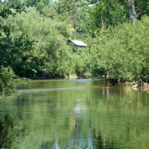 Let's canoe on Jizera! - Image 2