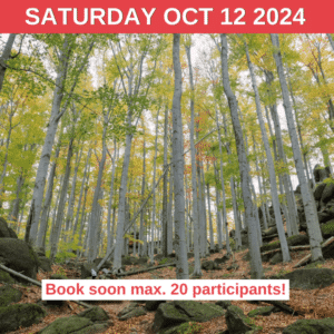 Let's hike in Jizerky!