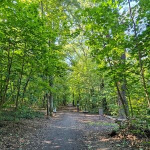 Forests and Castles Sunday Walk - Image 3