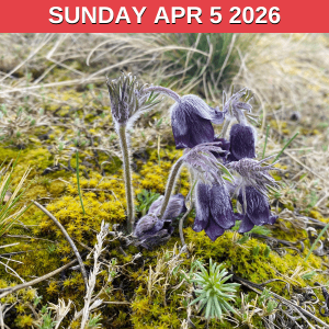 Easter Walk Sunday Apr 5 2026